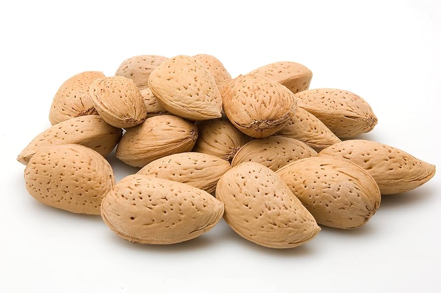 بادام سنگی اعلا صادراتی